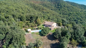 Uma vila com piscina, rodeada por uma floresta densa.