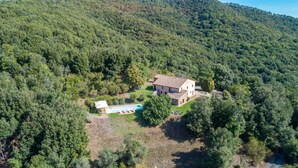 Una villa con piscina rodeada de un bosque denso.