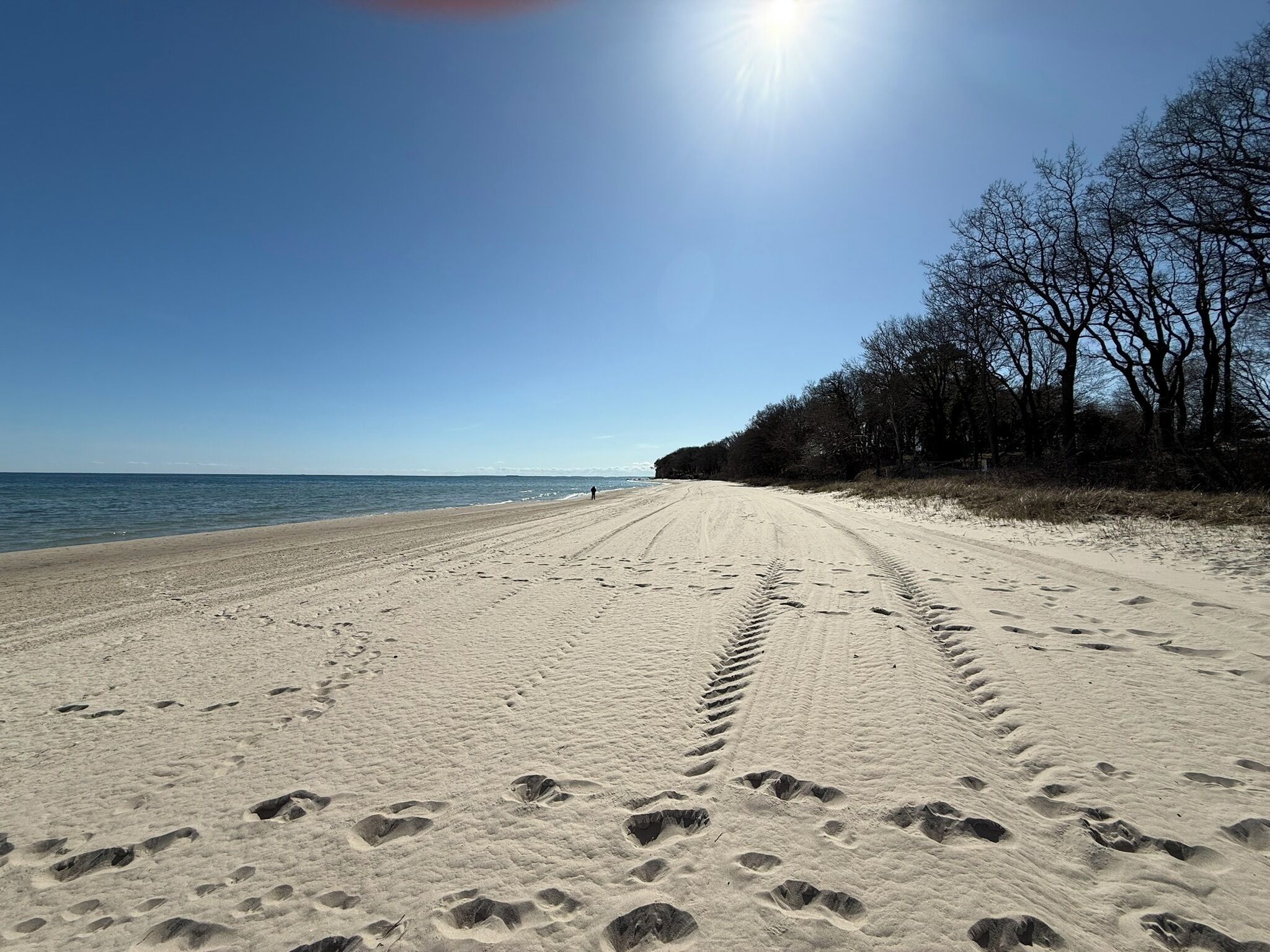 A sandy beach with footprints leading to the water, a clear sky, and leafless trees on the right.