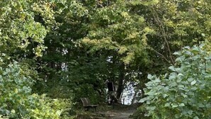 Un sentier pavé de pierres mène à travers une zone boisée, bordée de chaque côté d’une végétation dense.