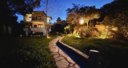 Zennova 21 Dream Nest Home