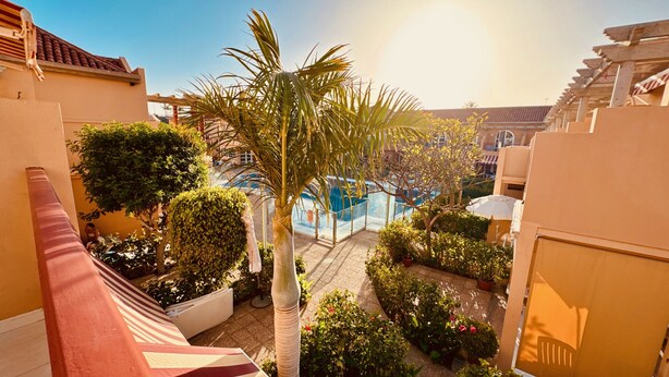 Un patio con piscina, palmeras y plantas en macetas.