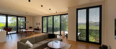 Smart TV, fireplace, computer monitors, printers