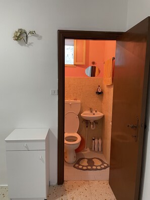 シャワー、ヘアドライヤー、タオル、石鹸