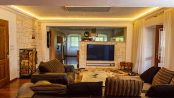 Smart-TV, Kamin