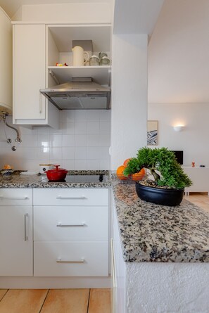 Kjøleskap, mikrobølgeovn, kokeplater og kaffetrakter/tekoker