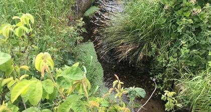 Your rural retreat especially for couples