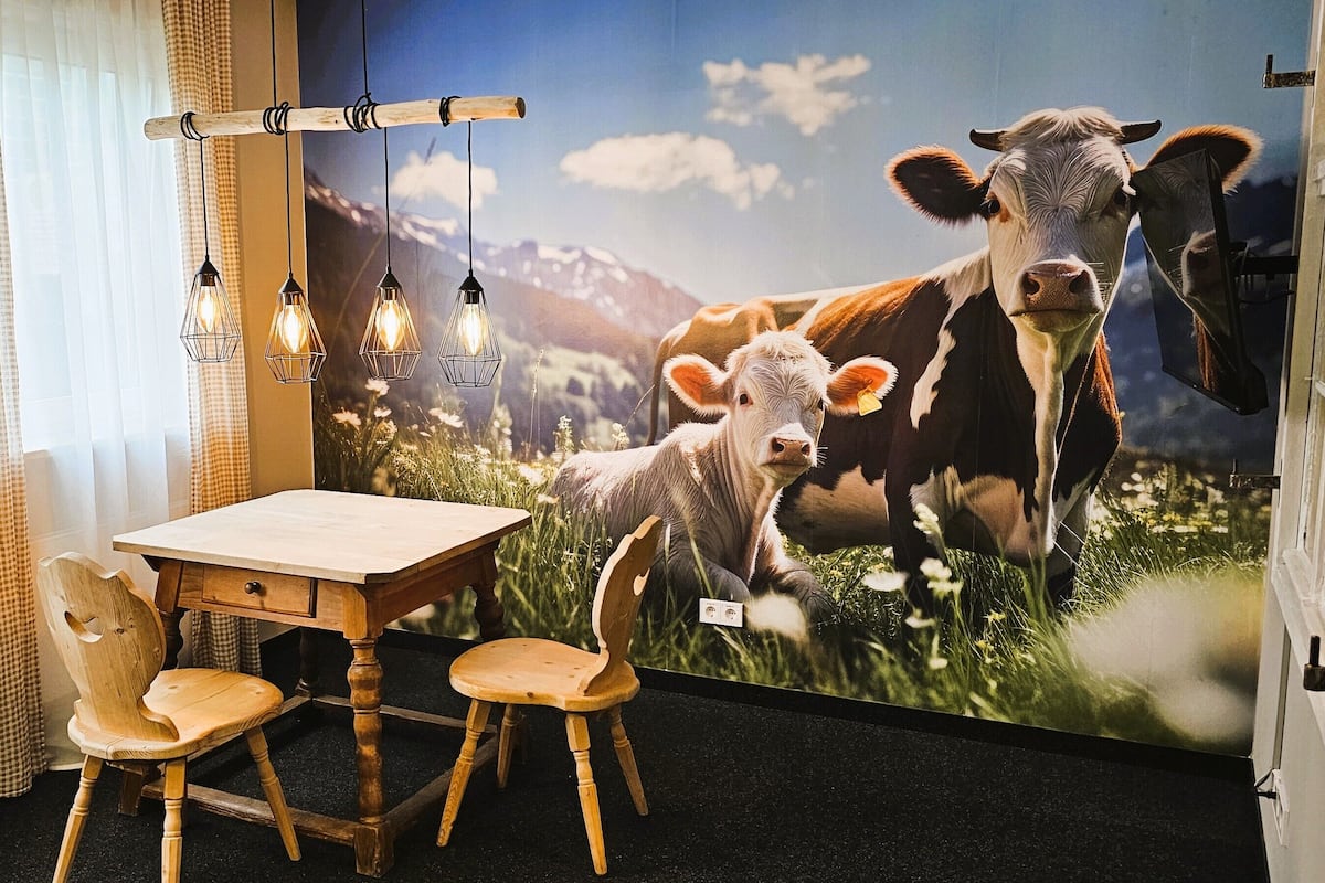 A room with a wooden table, two chairs, a window with checkered curtains, and a wall mural of cows.