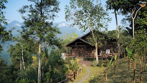 A wooden cabin with a stone pathway leading to it, surrounded by lush greenery and mountains in the background.