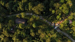 An aerial view of a property with a central building surrounded by dense forest, a winding path, and colorful patterned ground coverings.