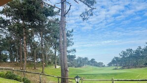 Vue d’un terrain de golf avec un chemin piétonnier pavé et un lampadaire.