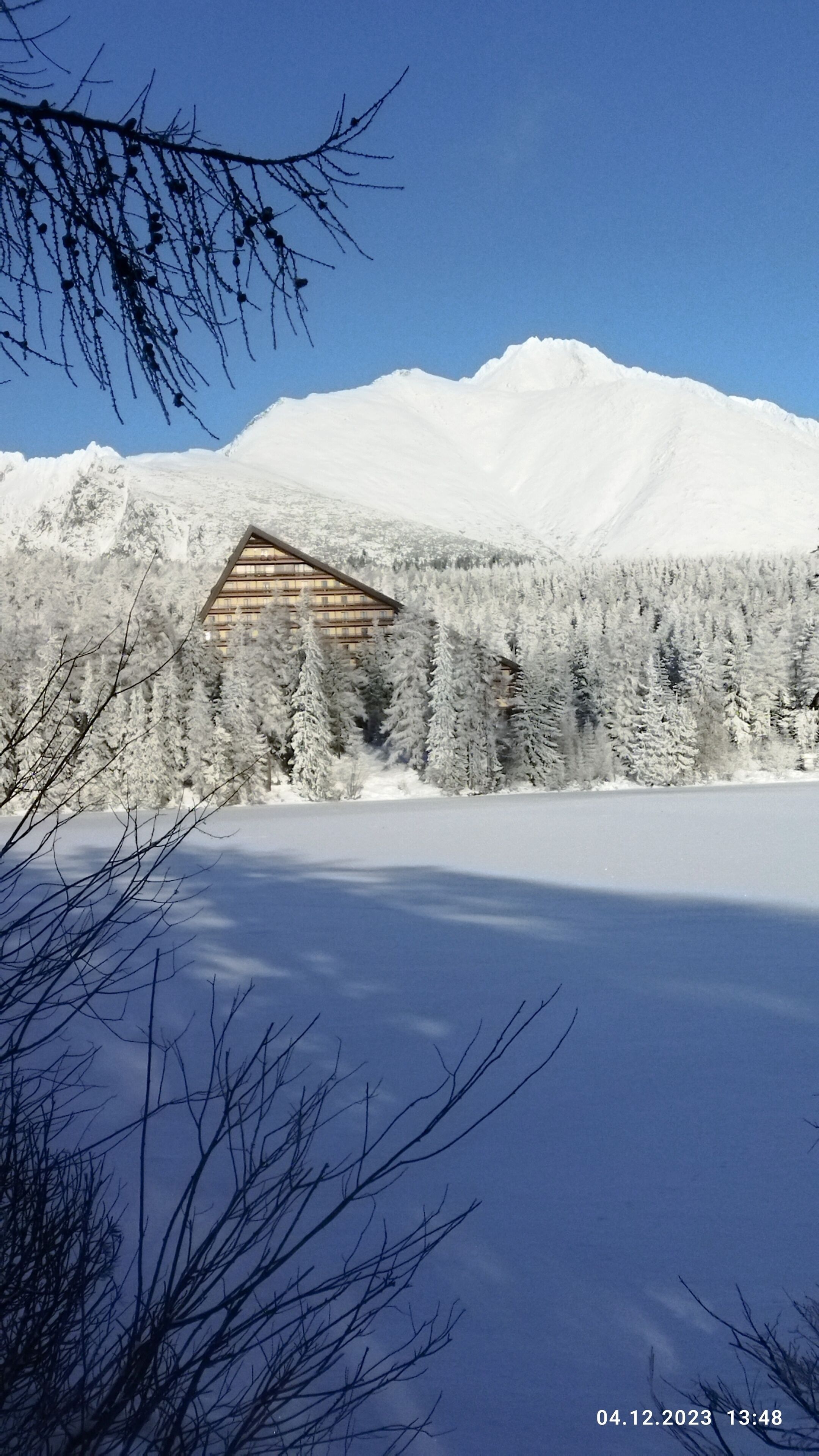 Een chalet in een besneeuwd bos onder een heldere lucht.