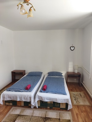 Habitación económica con 2 camas individuales, vistas a la montaña, planta baja | Ropa de cama hipoalergénica y decoración individual