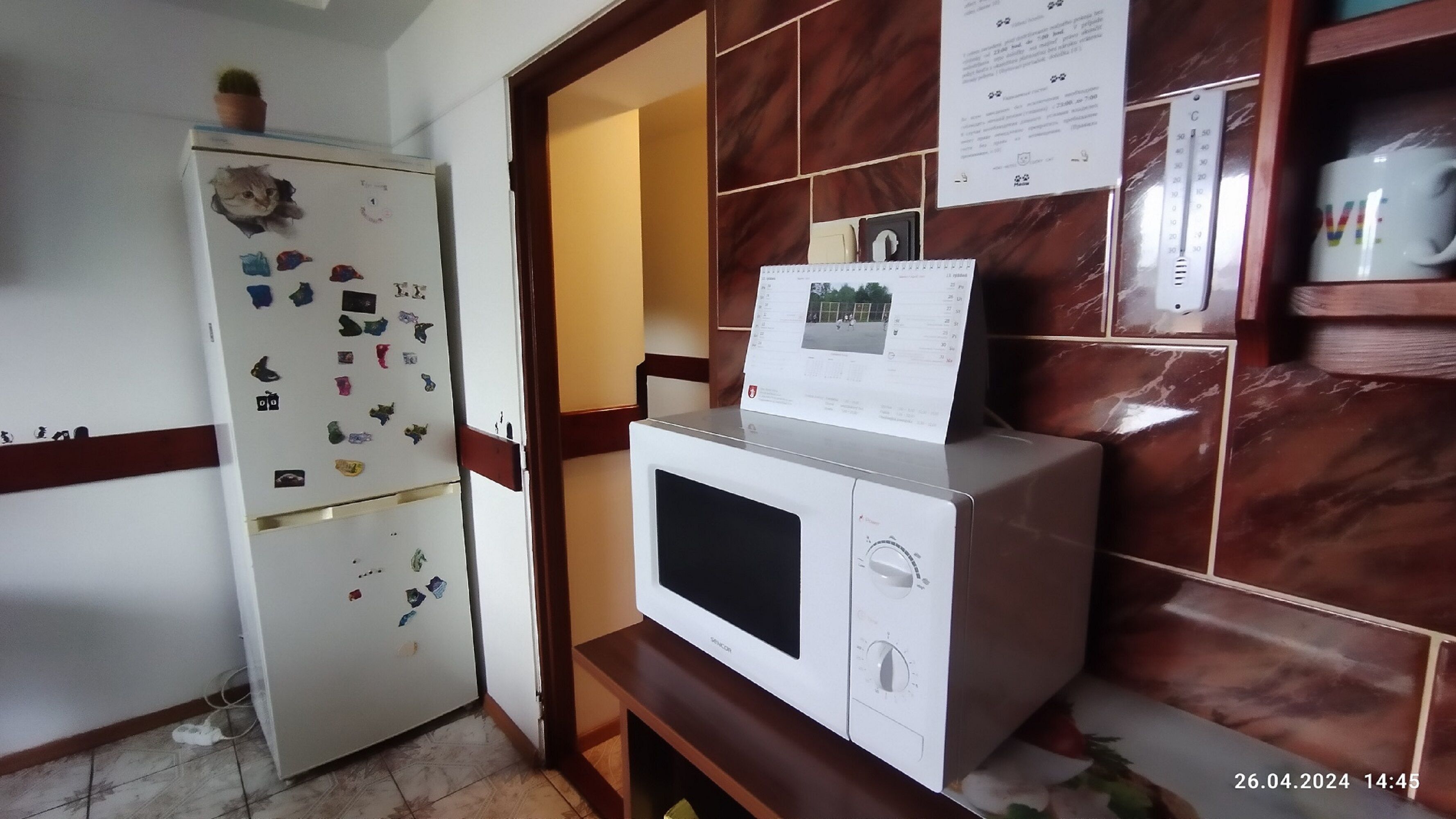 Eine kleine Küche mit Kühlschrank, Mikrowelle und Holzschränken.