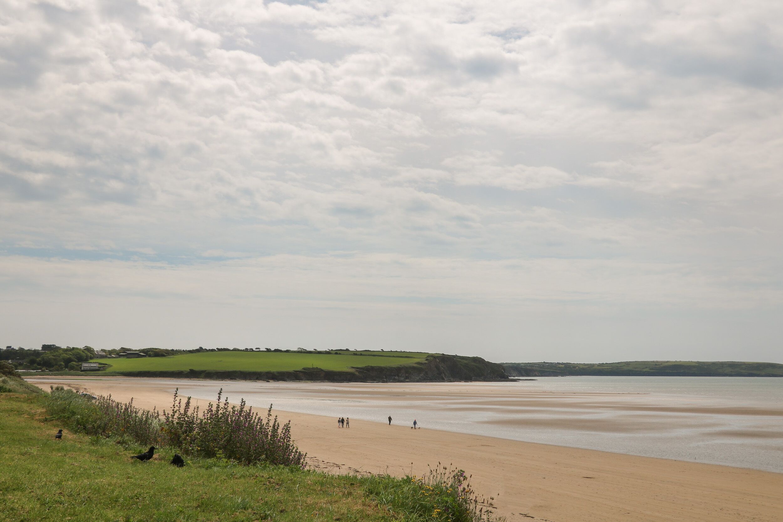 A coastal landscape with a sandy beach, grassy areas, and a distant view of hills.