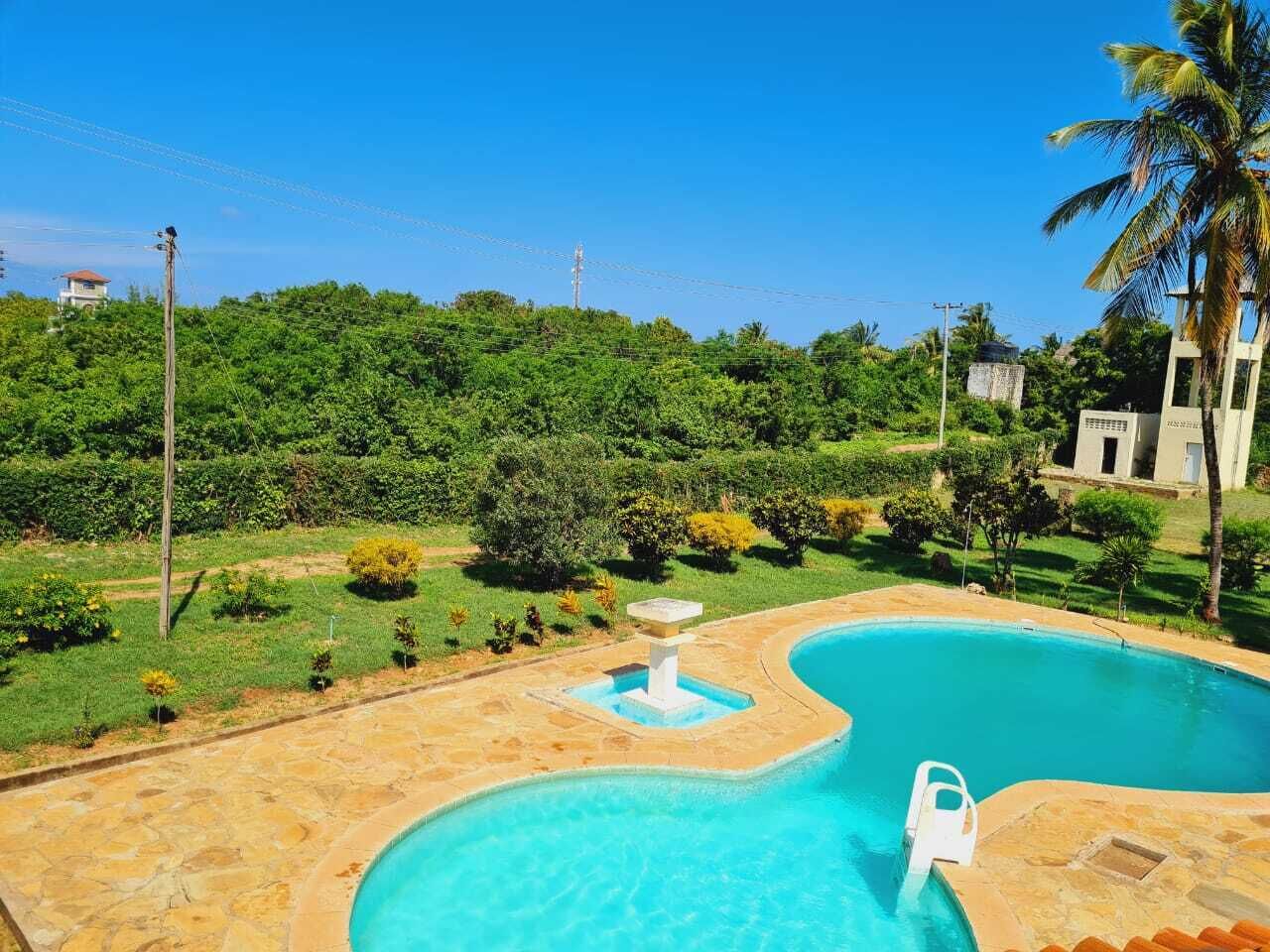 Una piscina con fuente, rodeada por un jardín con plantas variadas y una palmera.