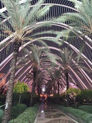 Un sentier bordé de palmiers, s’étendant sous une structure métallique incurvée.