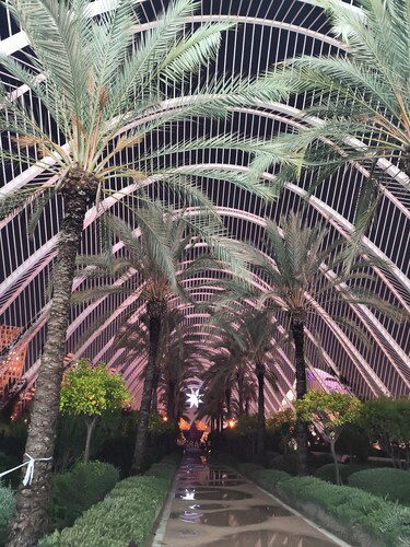 Enjoy Valencia. Studio located between Ruzafa and City of Arts and Sciences.