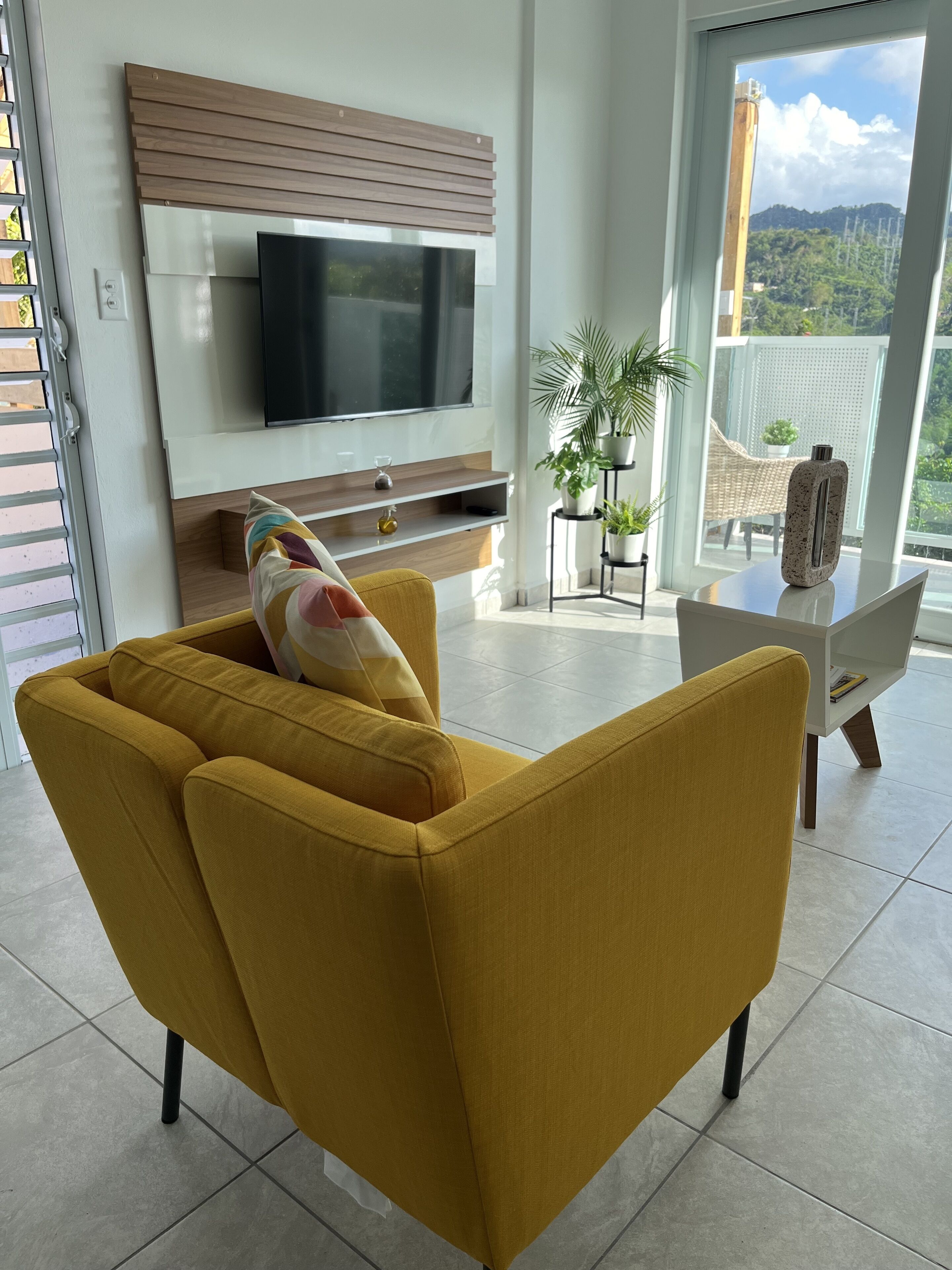 Smart TV, fireplace, books