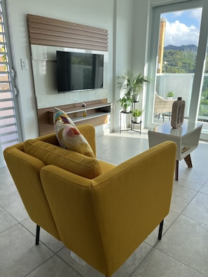 Smart TV, chimenea y libros