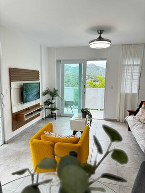 Smart TV, fireplace, books