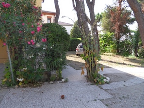 Um bairro residencial com calçada pavimentada, um carro estacionado e diversas plantas e  árvores.