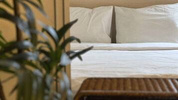 Classic Twin Room | Room amenity