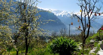 Nomadic den Manali