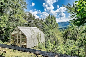 A glass greenhouse structure surrounded by dense forest. - Laurel Valley Mountain Retreat (Townsend)