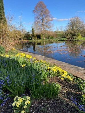 Property grounds - Cosy Stylish house near Southend - Pass the Keys (Southend-on-Sea)