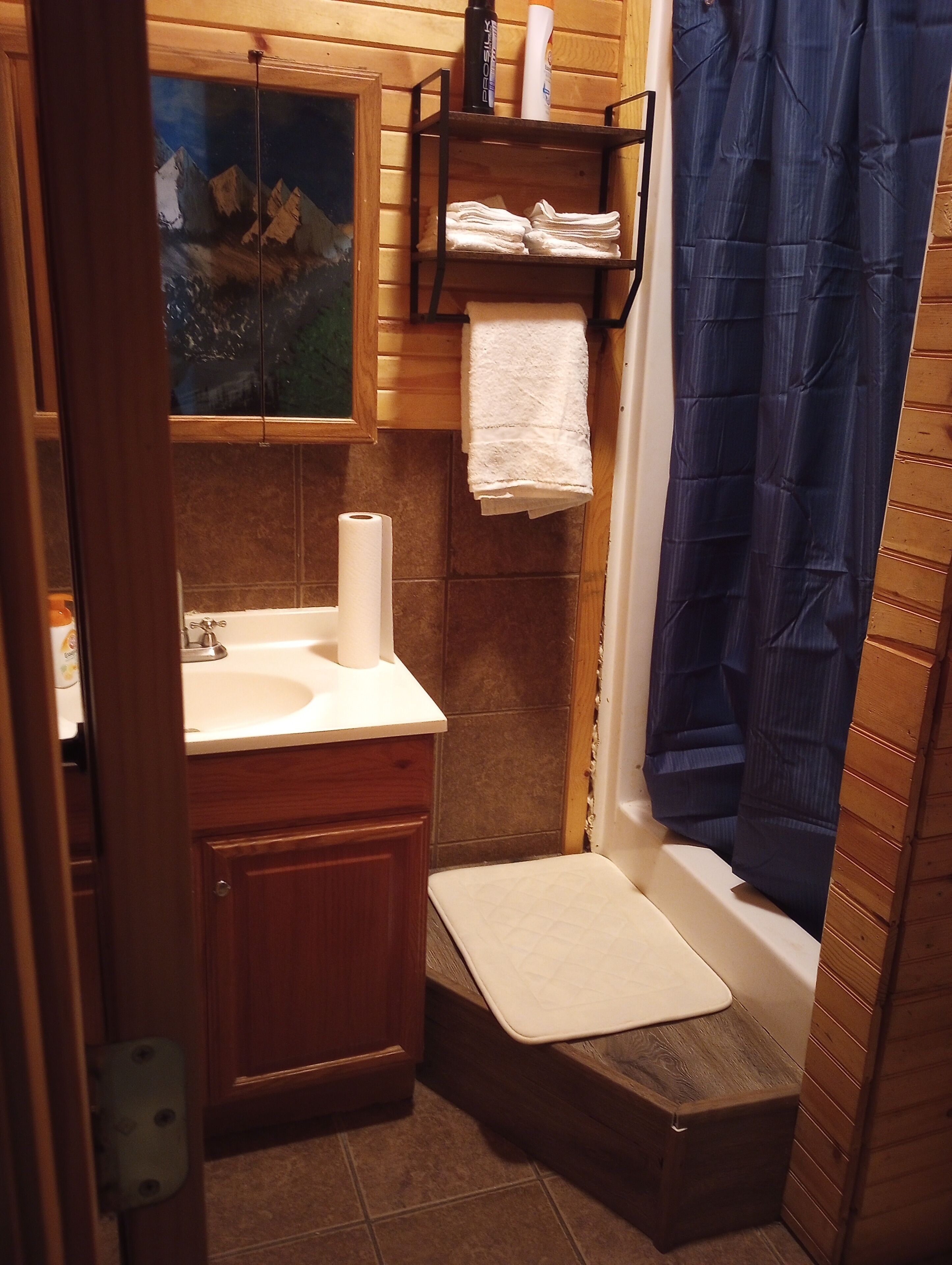 Shower, towels, soap, shampoo