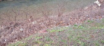 Deer Duplex Buck Side near Hatfield McCoy Ivy Branch Trails - 4 Bedrooms