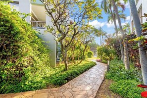 Un camino bordeado por abundante vegetación y palmeras, que lleva a un edificio de estilo arquitectónico moderno.