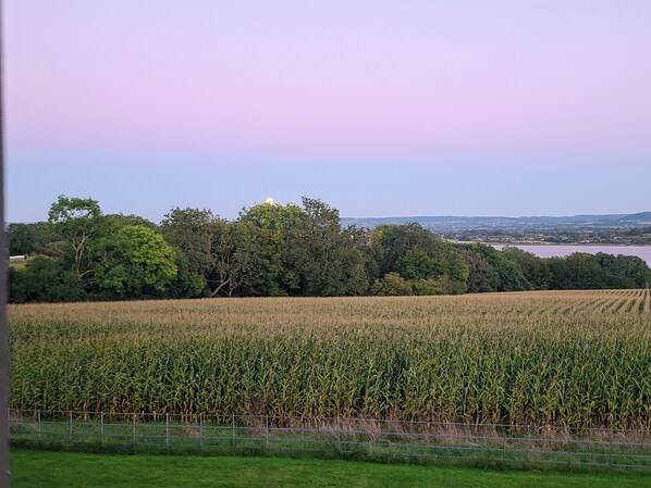 A field of crops with a fence in the foreground and trees in the background. - The Riverside Retreat (GLOUCESTERSHIRE)