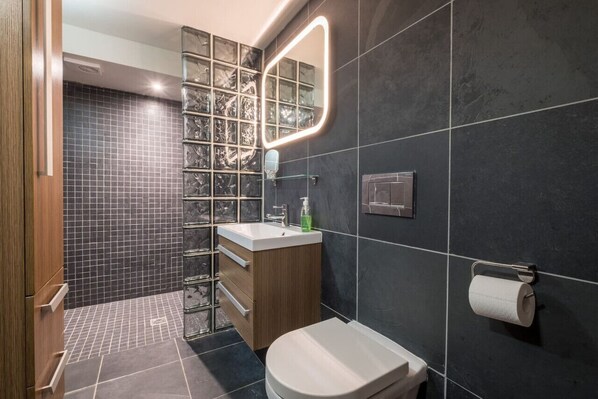 Hair dryer, towels - Leven  The  Bowering (Cumbria)