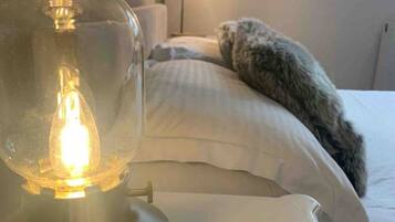 2 bedrooms, desk, iron/ironing board, travel cot