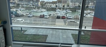 Magnifique Traversant L'orchidée
