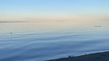 Playa en los alrededores, camastros y toallas de playa