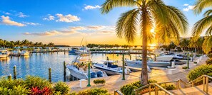 A marina with boats docked, surrounded by palm trees and a clear sky.
