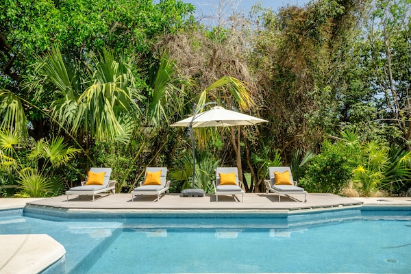 Una piscina al aire libre, sombrillas, sillones reclinables de piscina