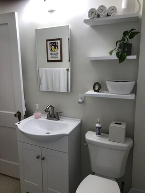 Bathroom features a sink, mirror, toilet, and towel rack.