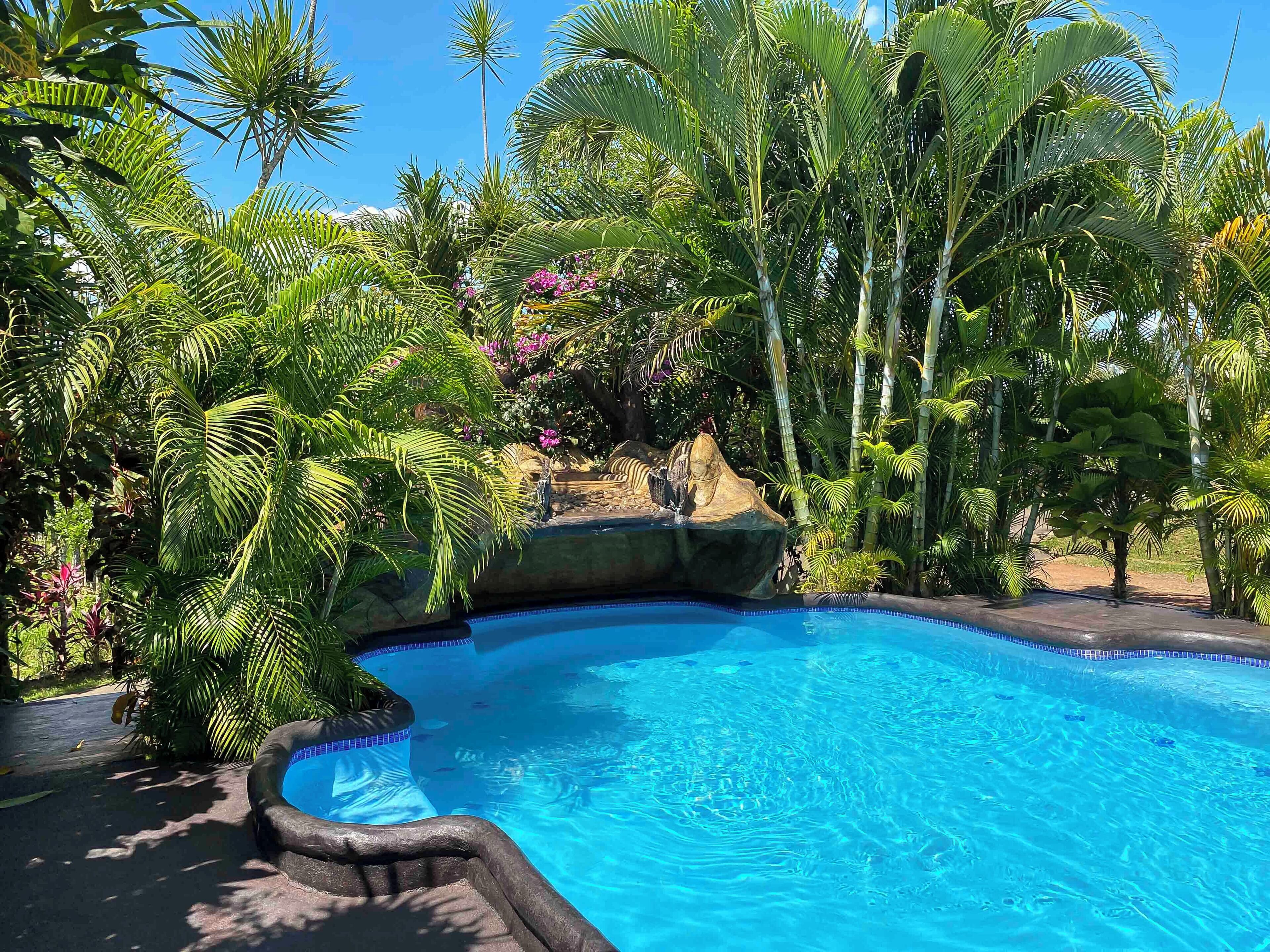 A swimming pool surrounded by lush tropical vegetation and a rock formation.