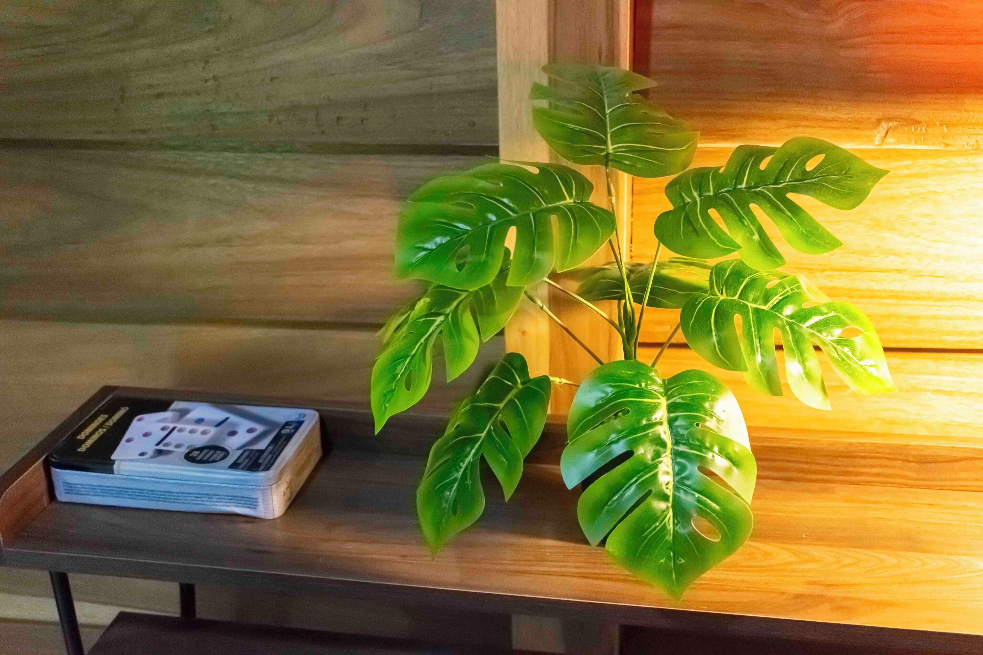 A plant with large green leaves on a wooden surface next to a stack of books.