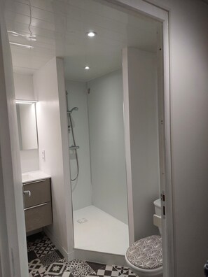 Regadera, secadora de cabello, papel de baño 