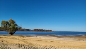 A beach with a lone tree, clear blue sky, and calm water.