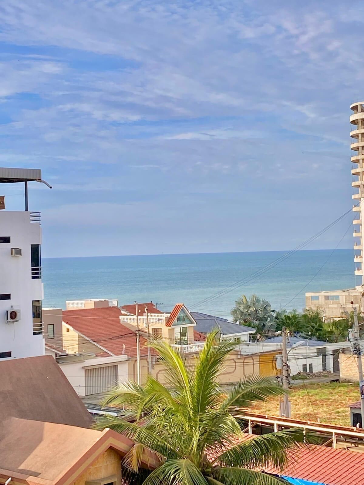 Un área residencial costera con edificios, una palmera y vista al mar.