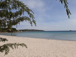 A beach with clear water, a sandy shore, and a tree in the foreground.