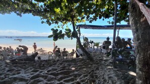 Escena de playa con un área de estar cubierta y vista al océano.