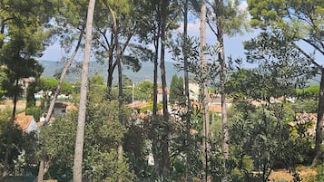 屋外プール