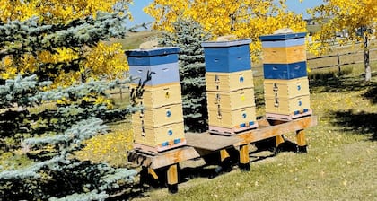 Charming Guest House with Beautiful Mountain View & Spa....Pet Friendly